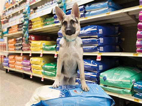 petsmart schenectady